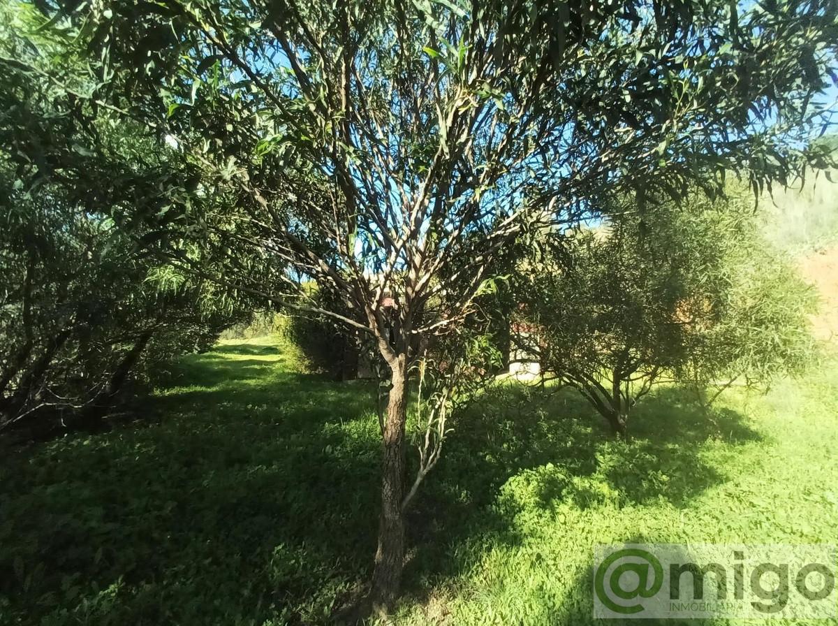 Venta de villa en La Cala Golf