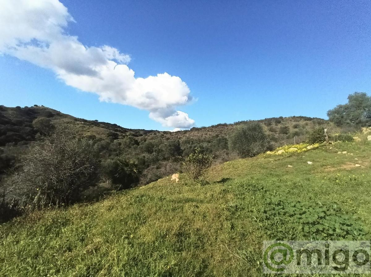 Venta de villa en La Cala Golf