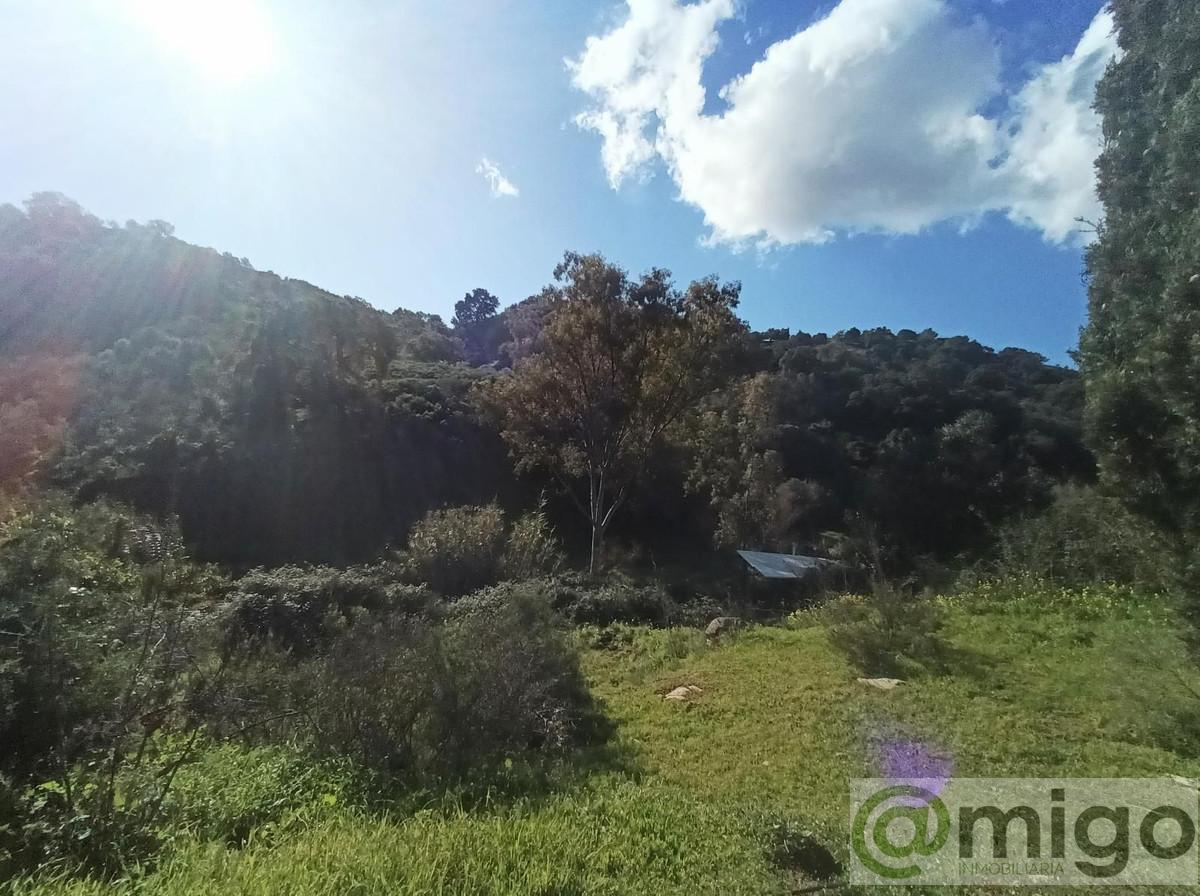 Venta de villa en La Cala Golf