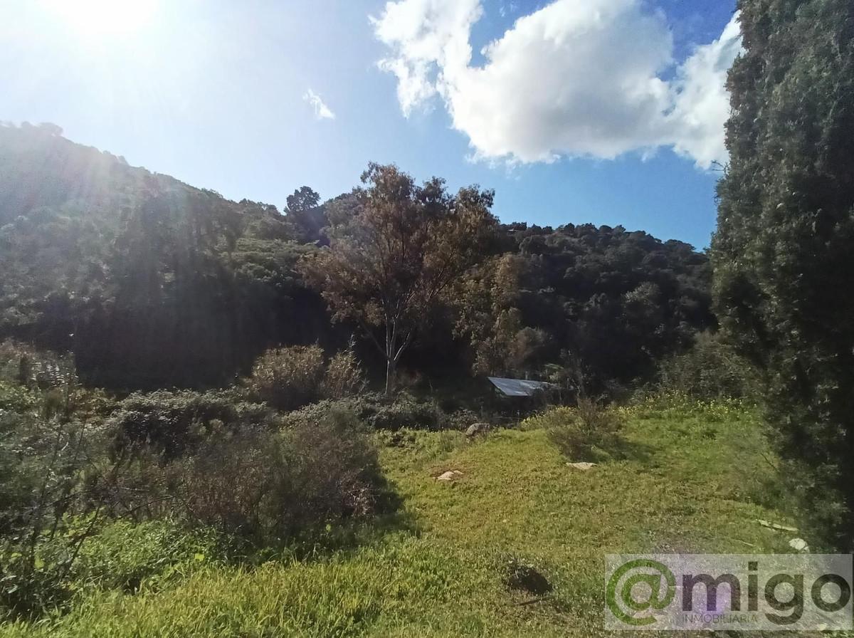 Venta de villa en La Cala Golf