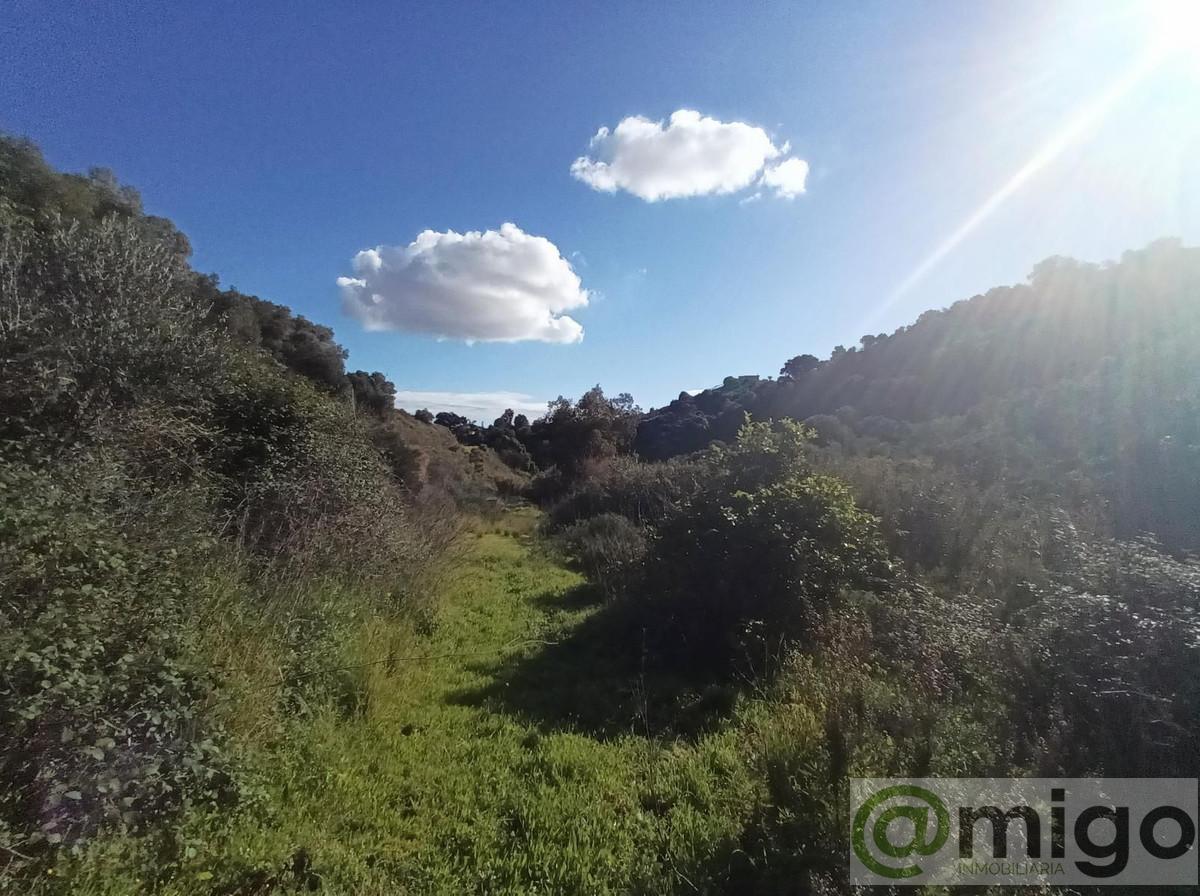 Venta de villa en La Cala Golf