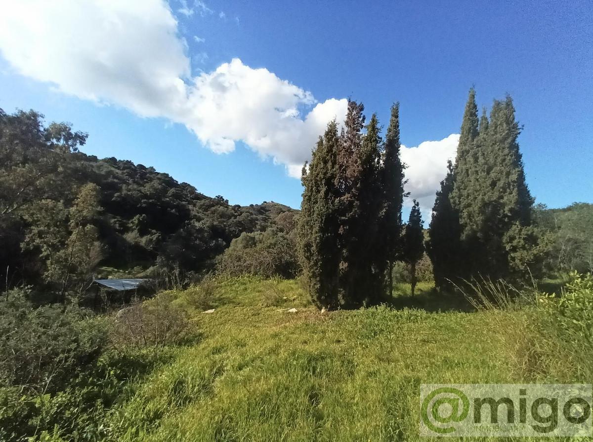 Venta de villa en La Cala Golf
