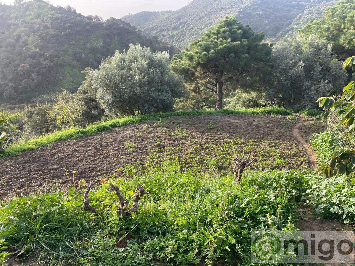 Venta de villa en Estepona