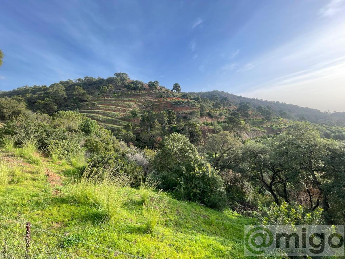 Venta de villa en Estepona