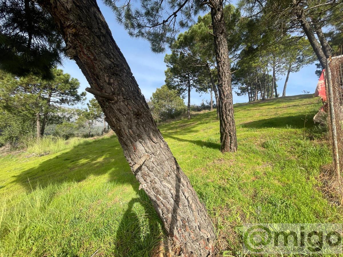 Venta de villa en Estepona