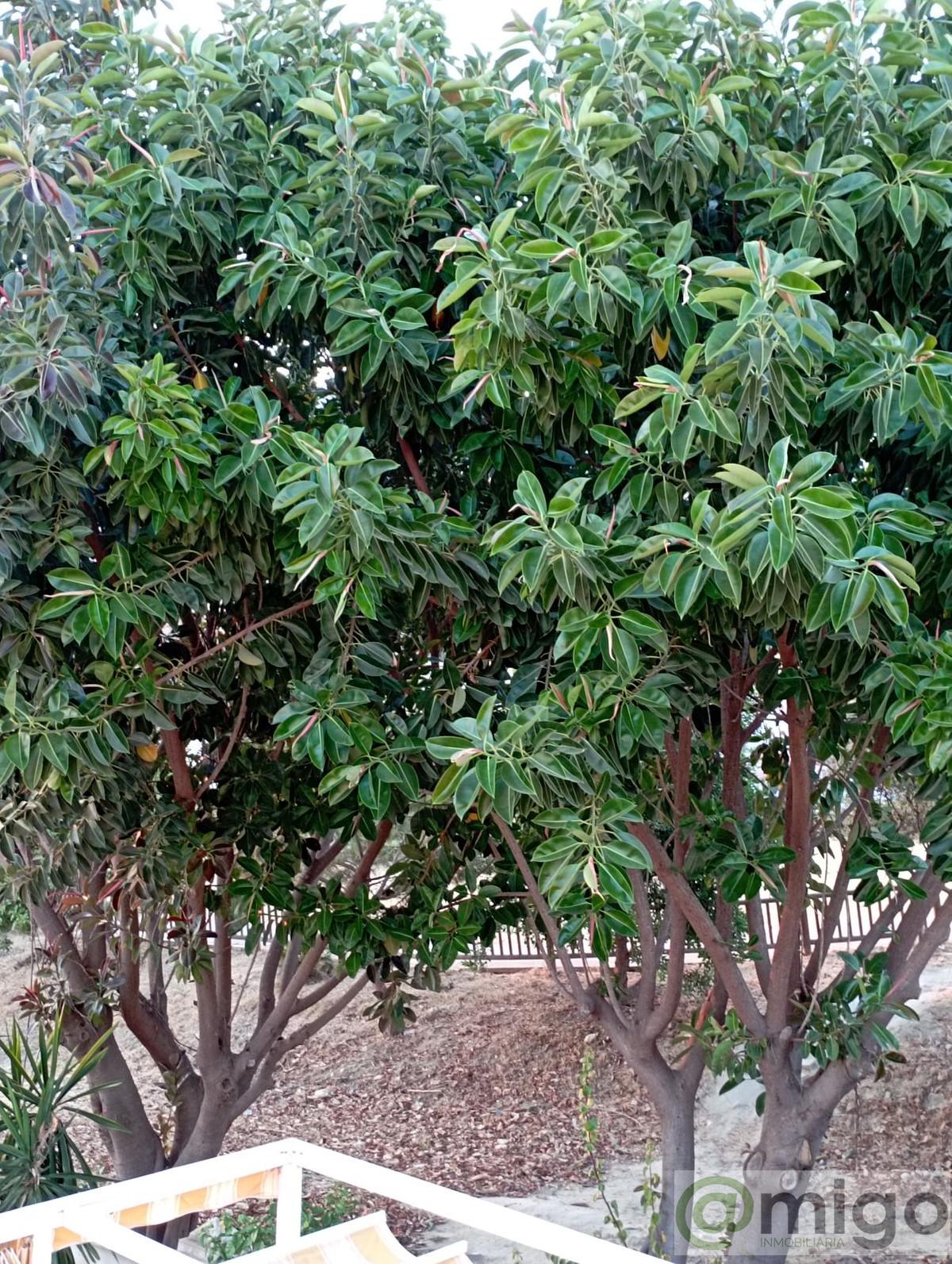 Venta de villa en Marbella