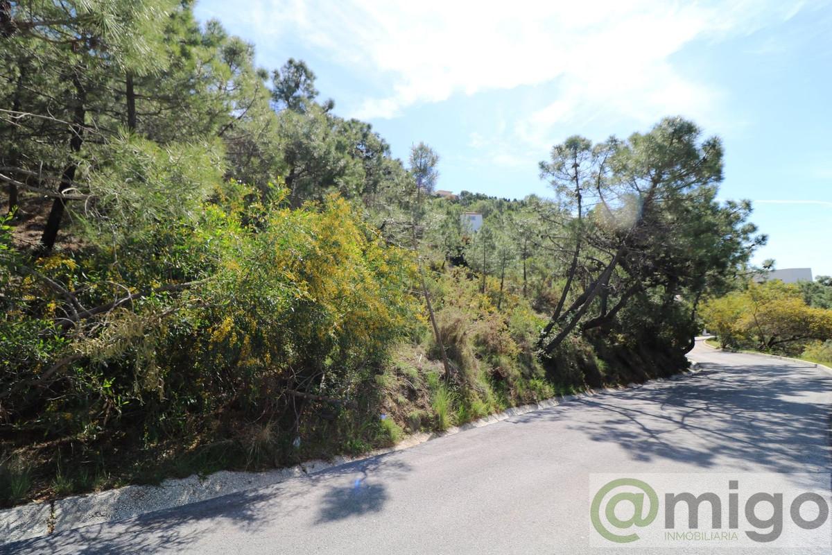 Venta de terreno en Marbella