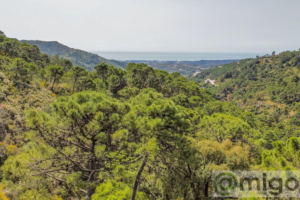 For sale of land in Marbella