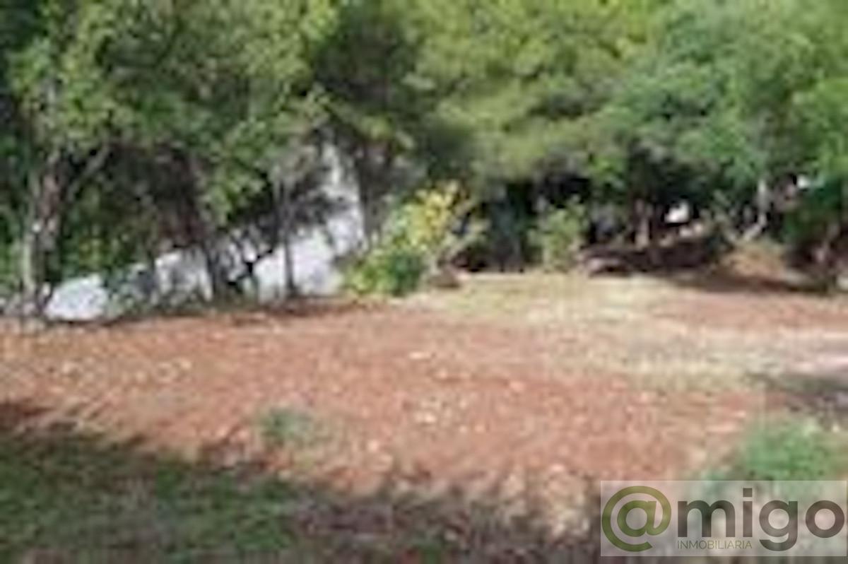 Venta de terreno en Mijas