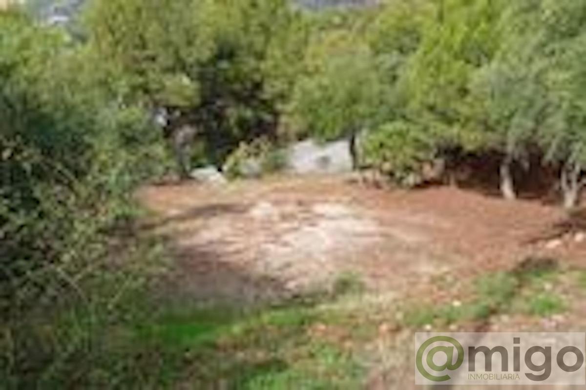 Venta de terreno en Mijas