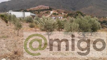 Продажа от

 Земельные участки на Estepona
