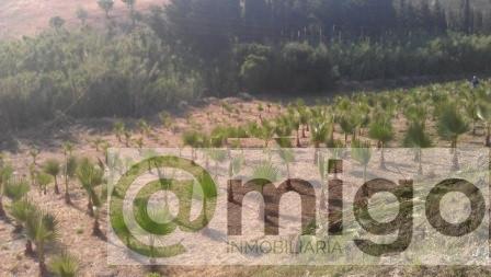 Venta de terreno en Estepona