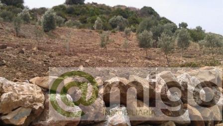 Venta de terreno en Estepona