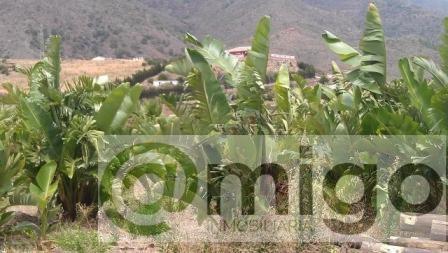 Venta de terreno en Estepona