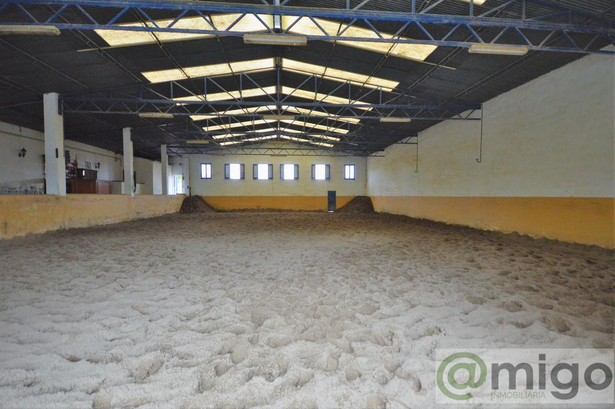 Venta de villa en Mijas