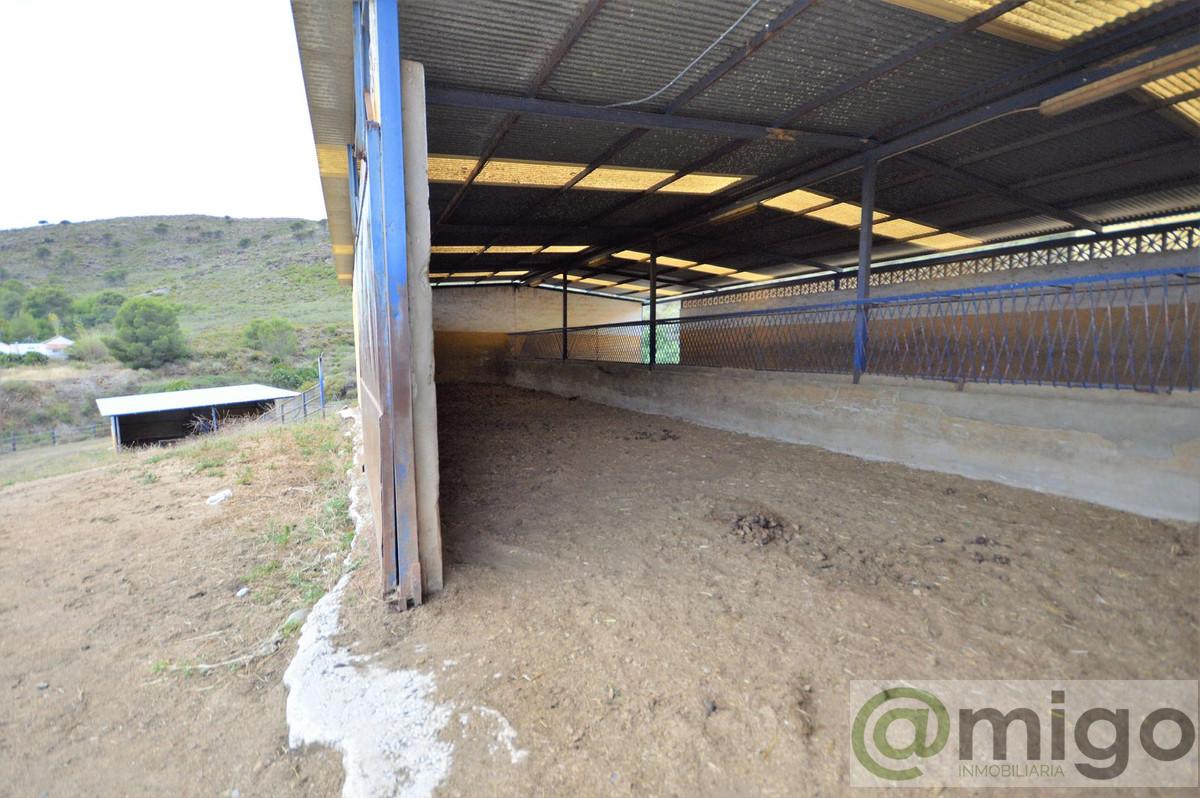 Venta de villa en Mijas