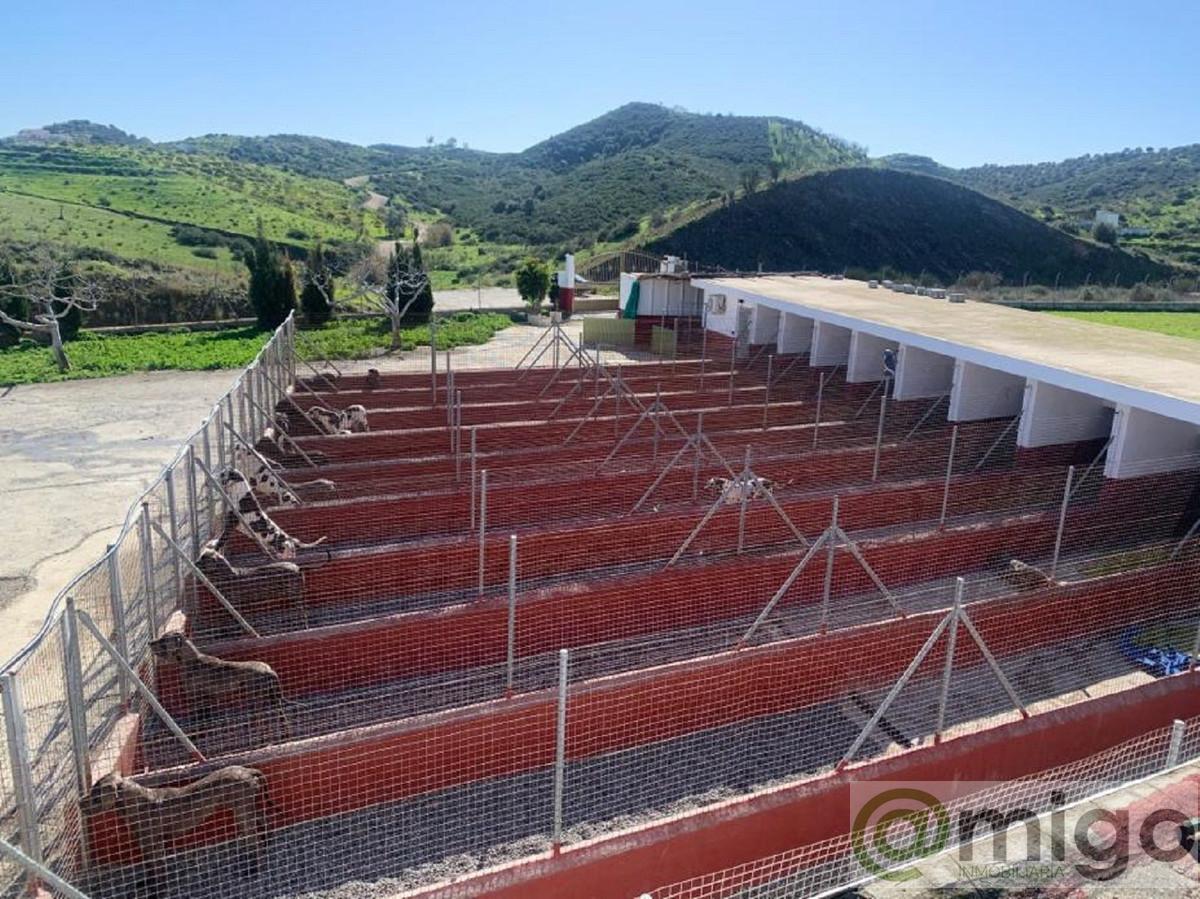 Venta de terreno en Mijas