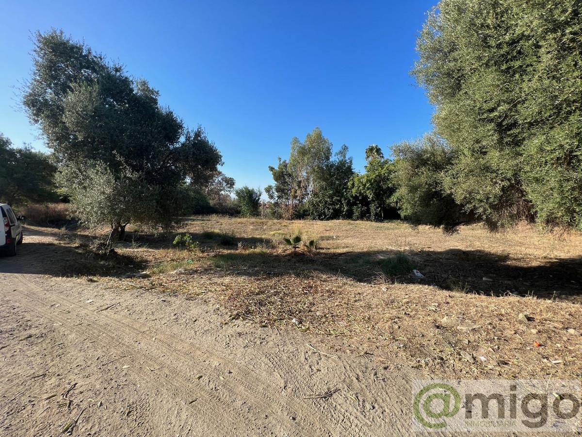For sale of land in Marbella