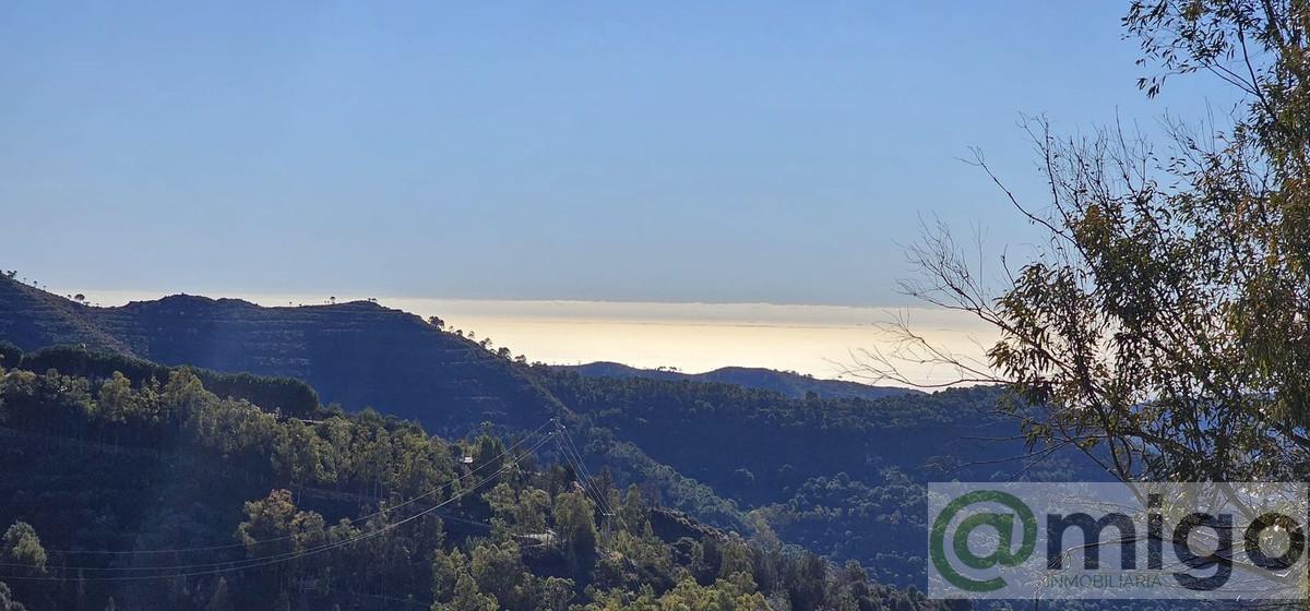 Venta de local en Marbella