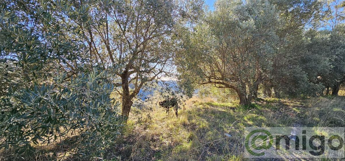 Venta de local en Marbella