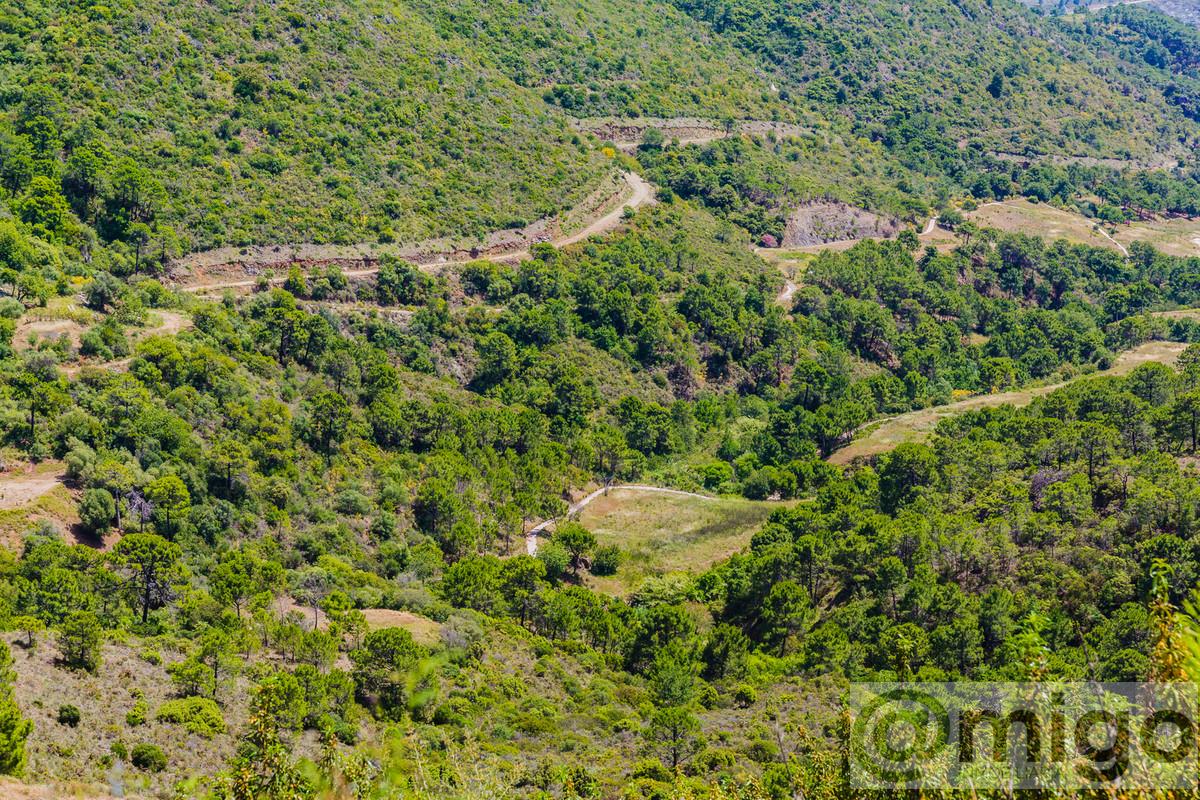 Venta de terreno en Marbella