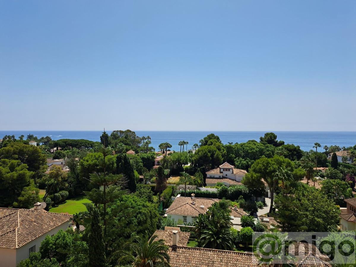 For sale of commercial in Estepona