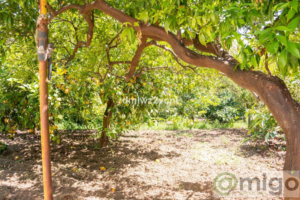 Venta de terreno en Marbella