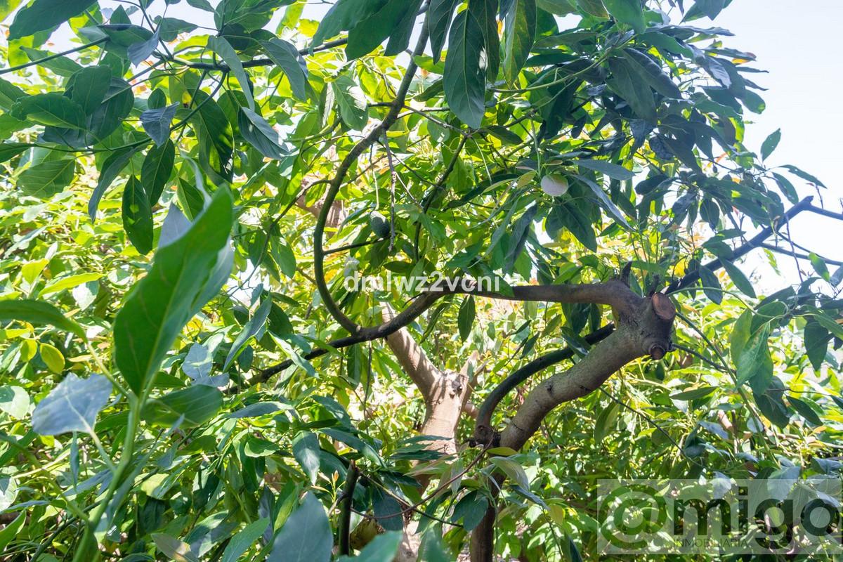 Venta de terreno en Marbella