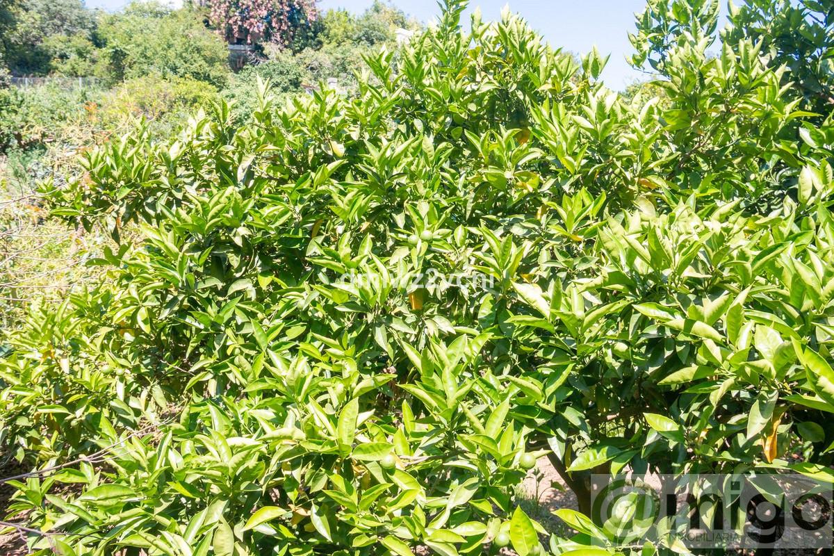 Venta de terreno en Marbella