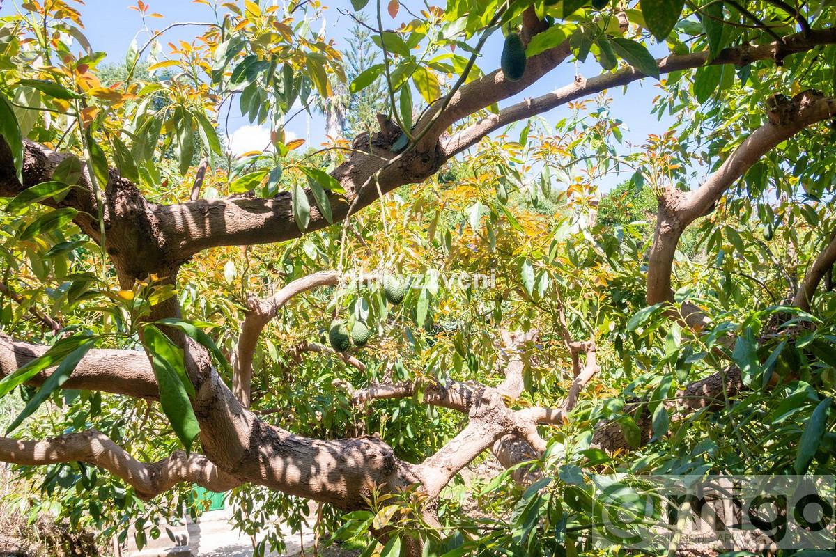 Venta de terreno en Marbella