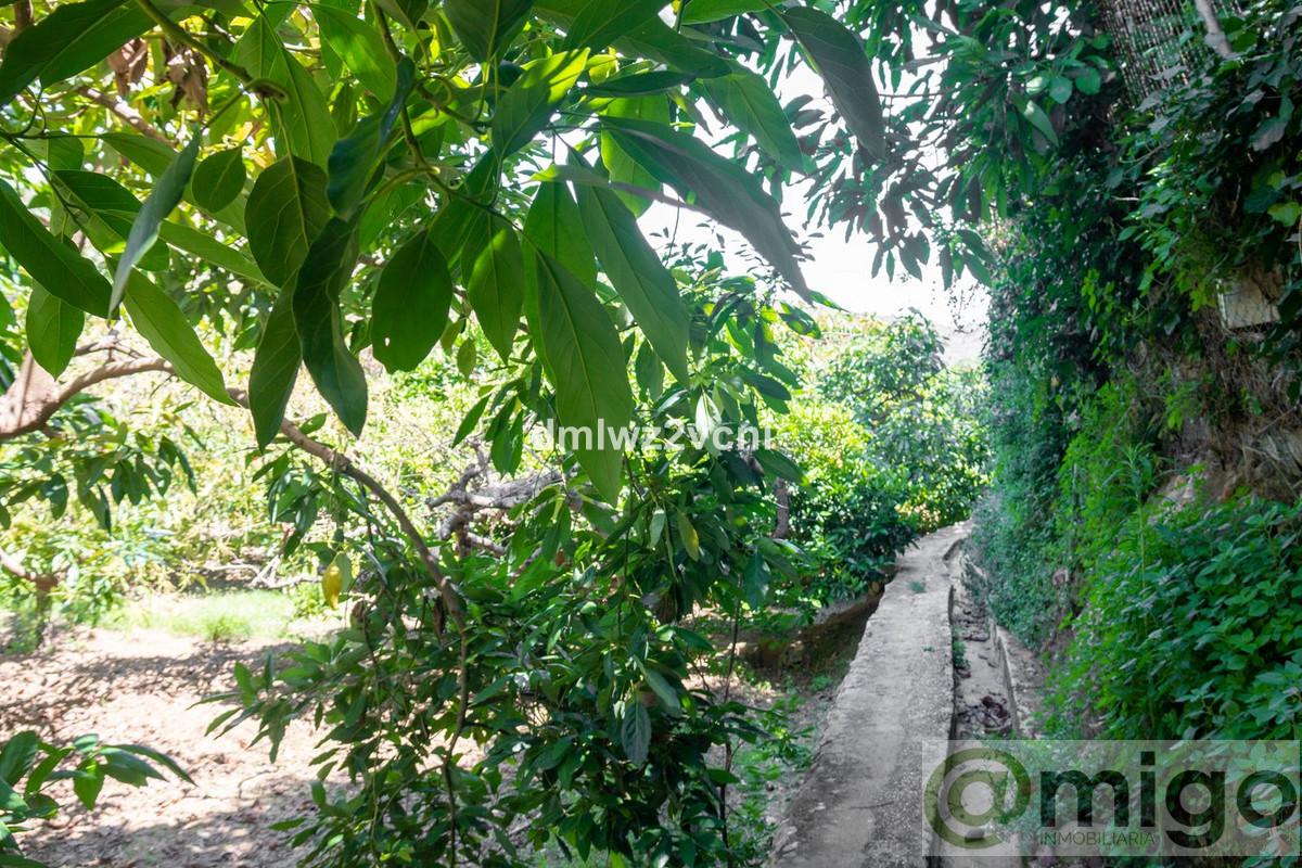 Venta de terreno en Marbella