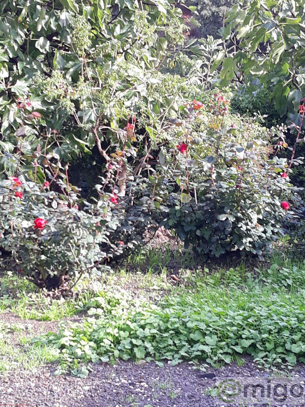 Venta de villa en Estepona