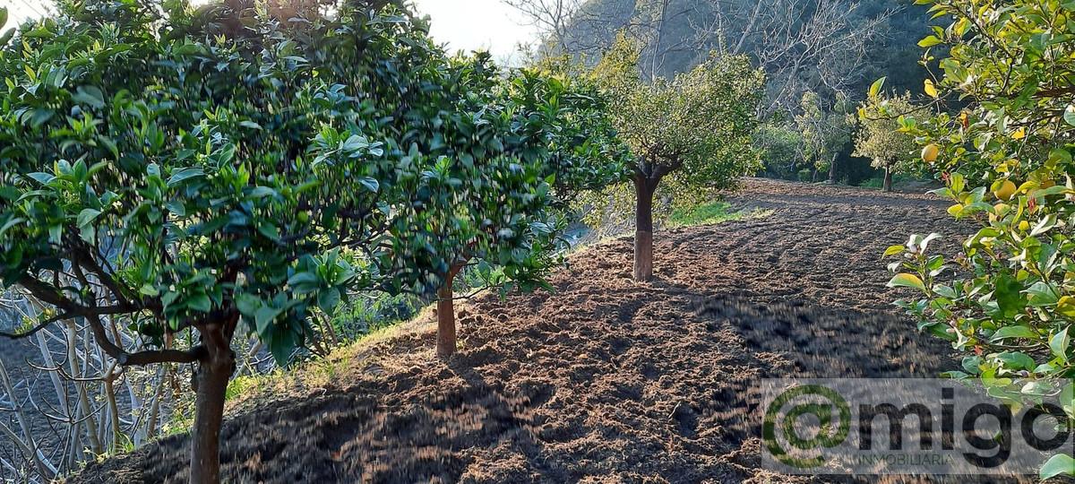 Venta de villa en Estepona