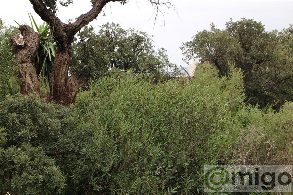 For sale of land in Manilva