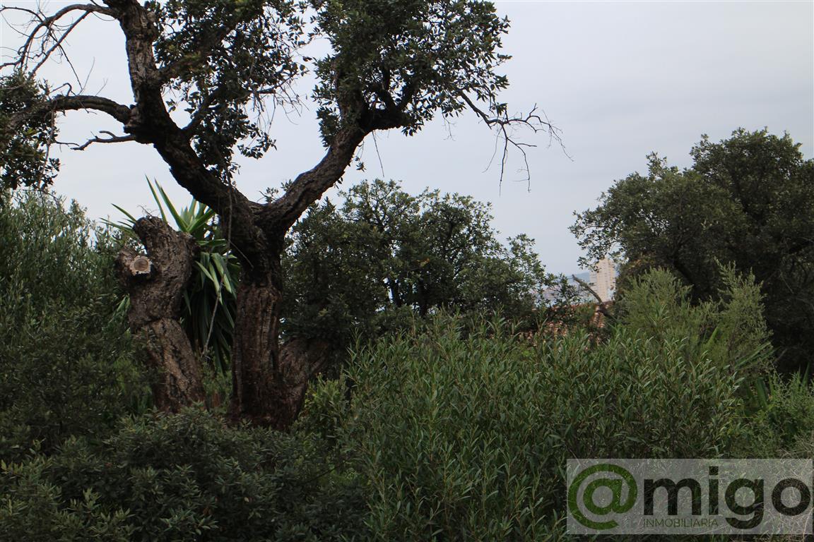 For sale of land in Manilva