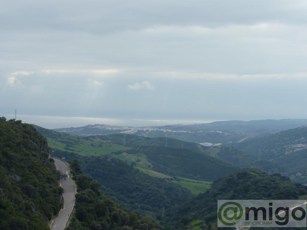 For sale of commercial in Casares Pueblo