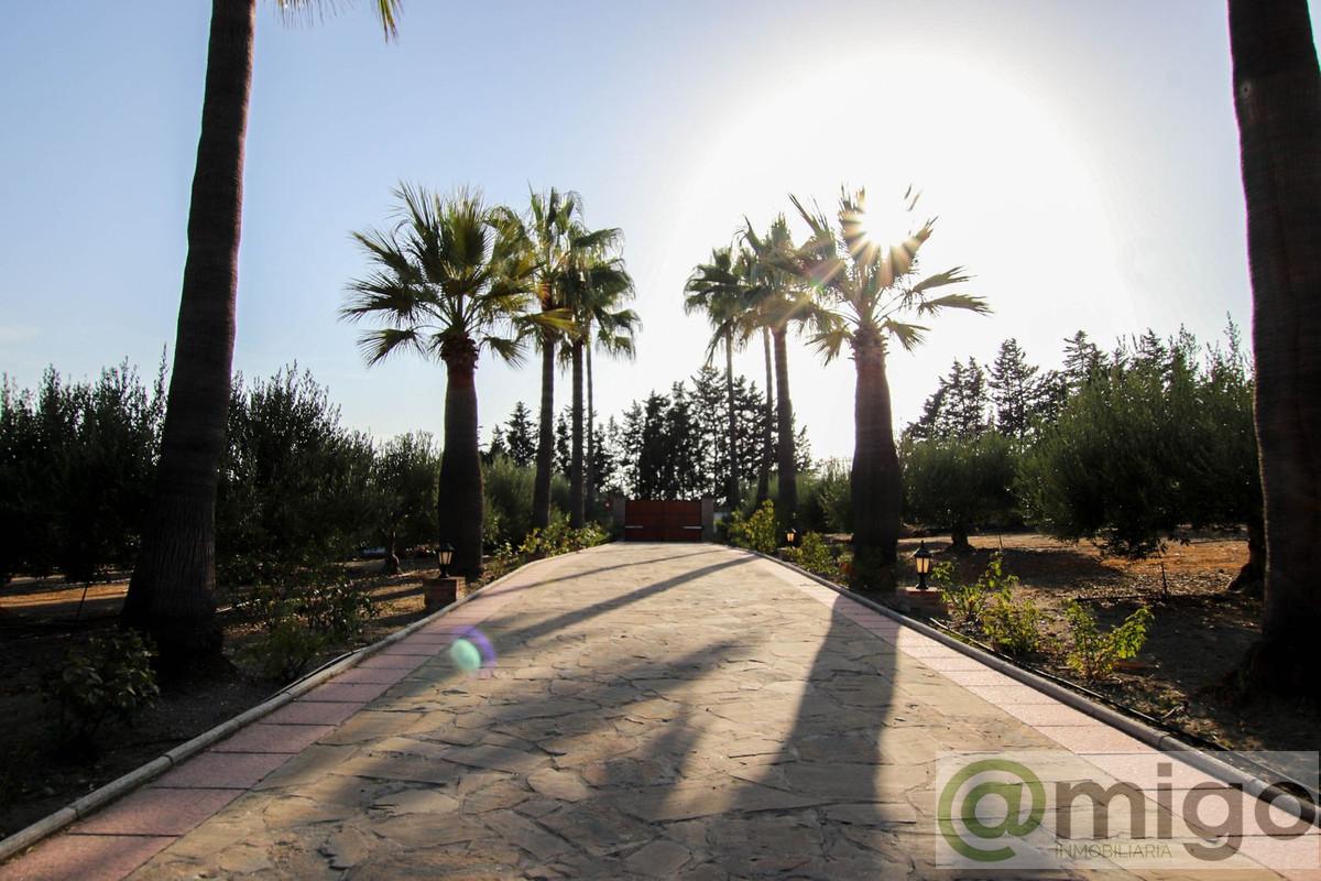 Venta de villa en Estepona