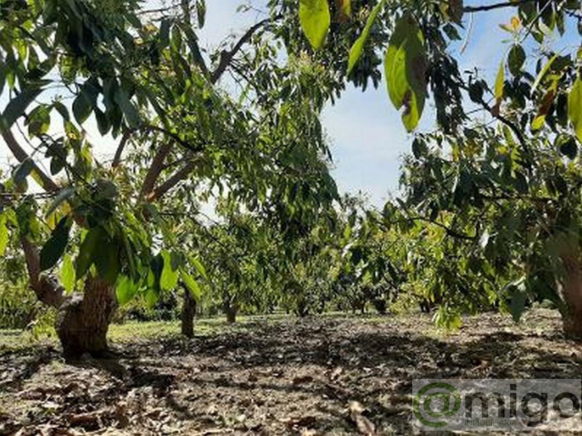 Venta de terreno en Estepona