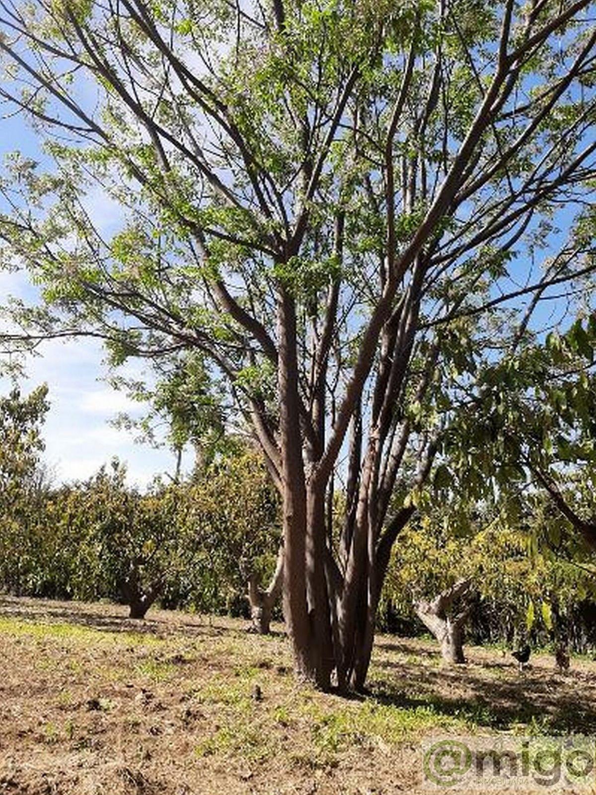Venta de terreno en Estepona