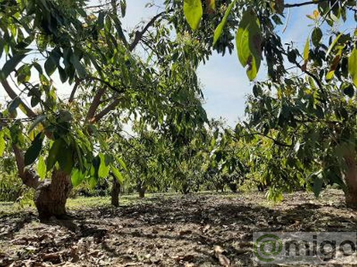 Venta de terreno en Estepona