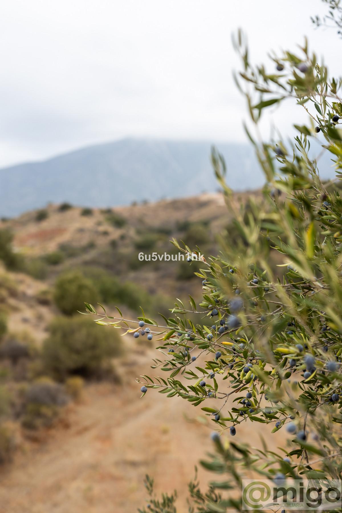 Venta de terreno en Mijas Golf