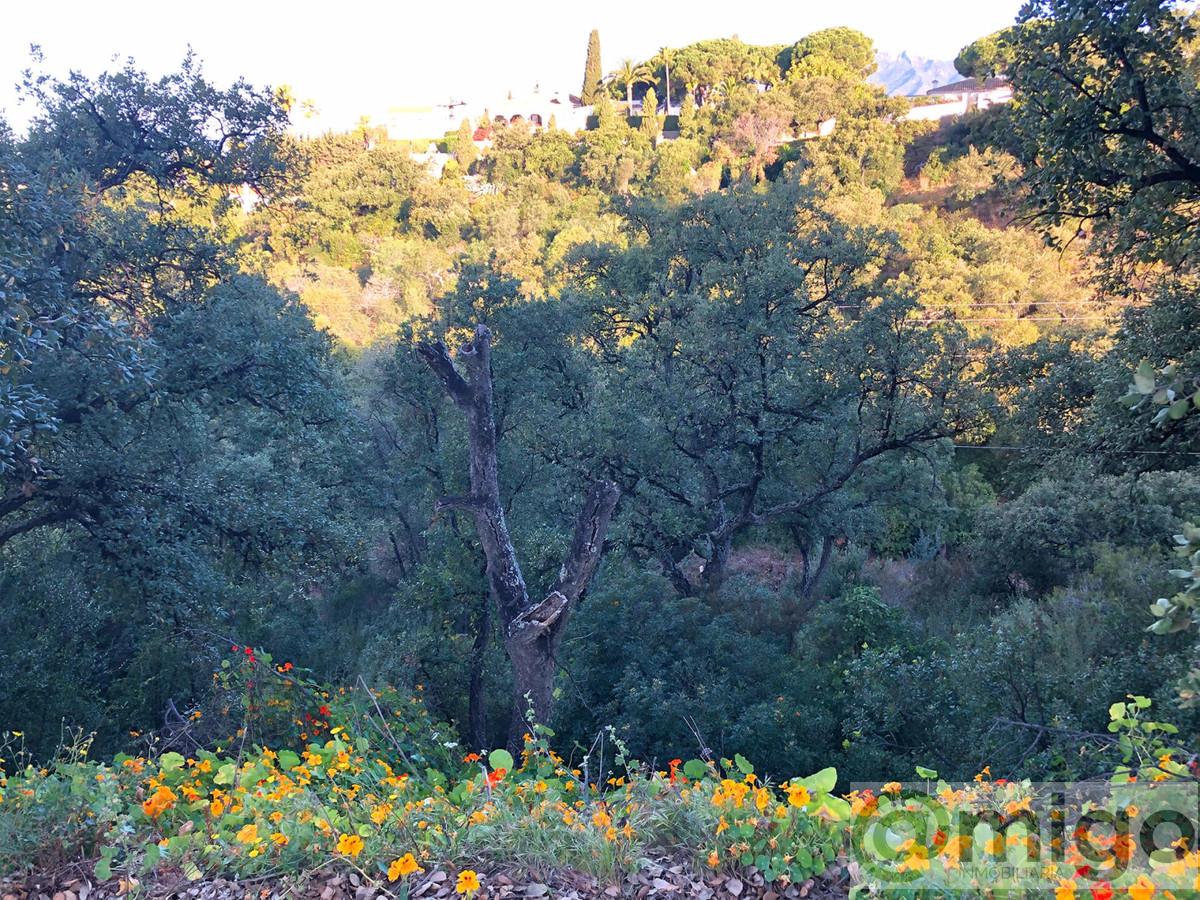 For sale of land in Marbella