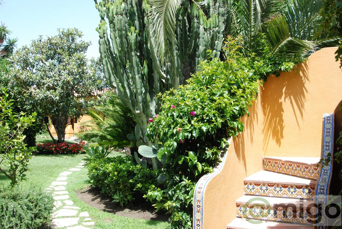 For sale of commercial in Estepona