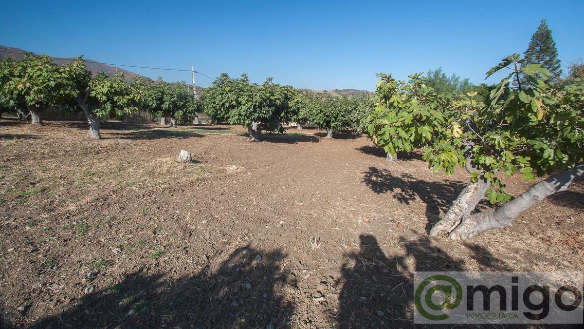 For sale of villa in Estepona