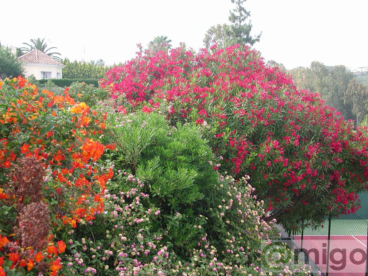 Venta de villa en Marbella