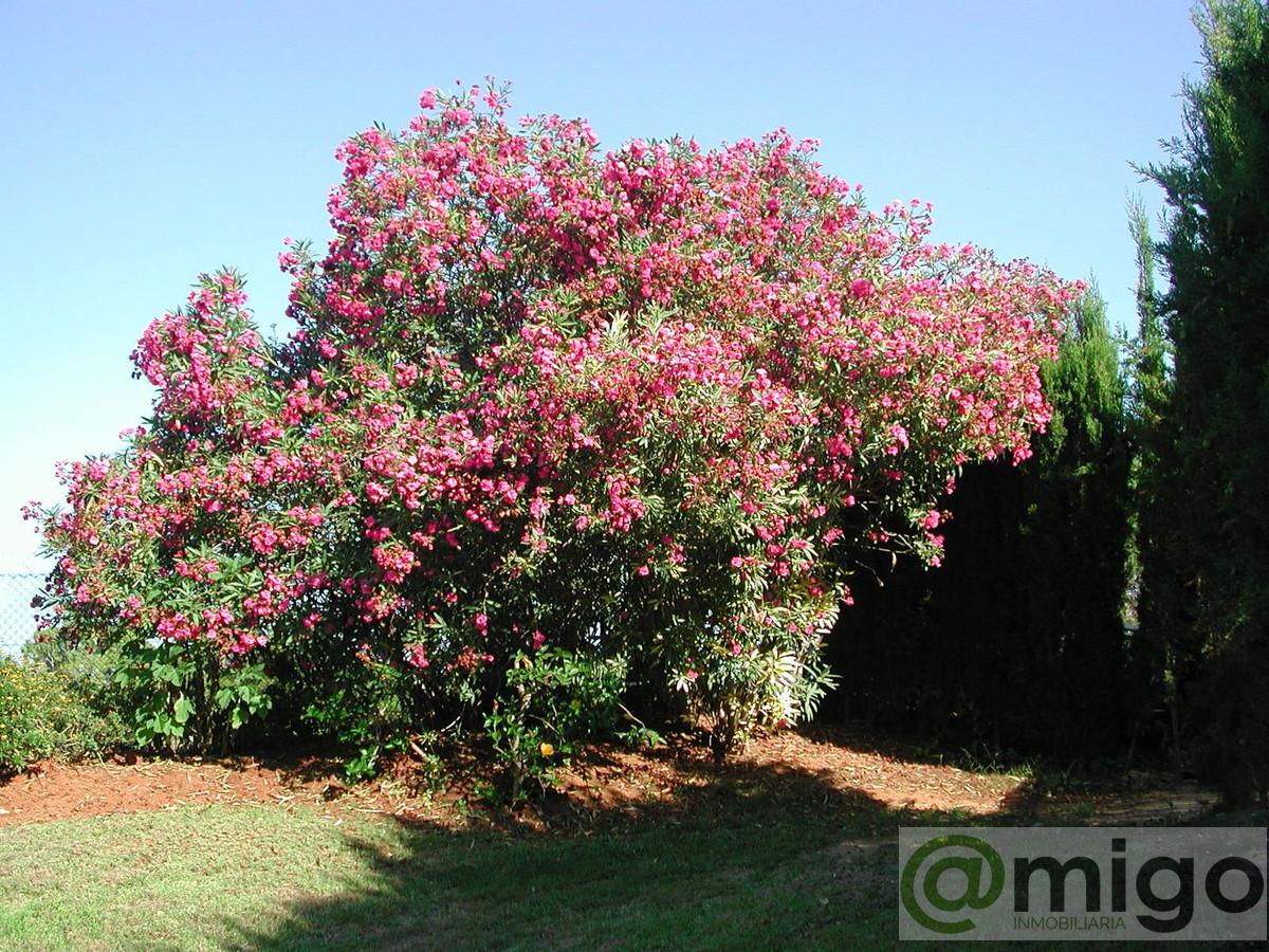 Venta de villa en Marbella