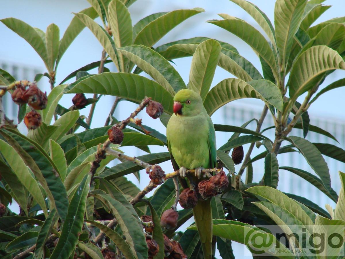 Venta de villa en Marbella
