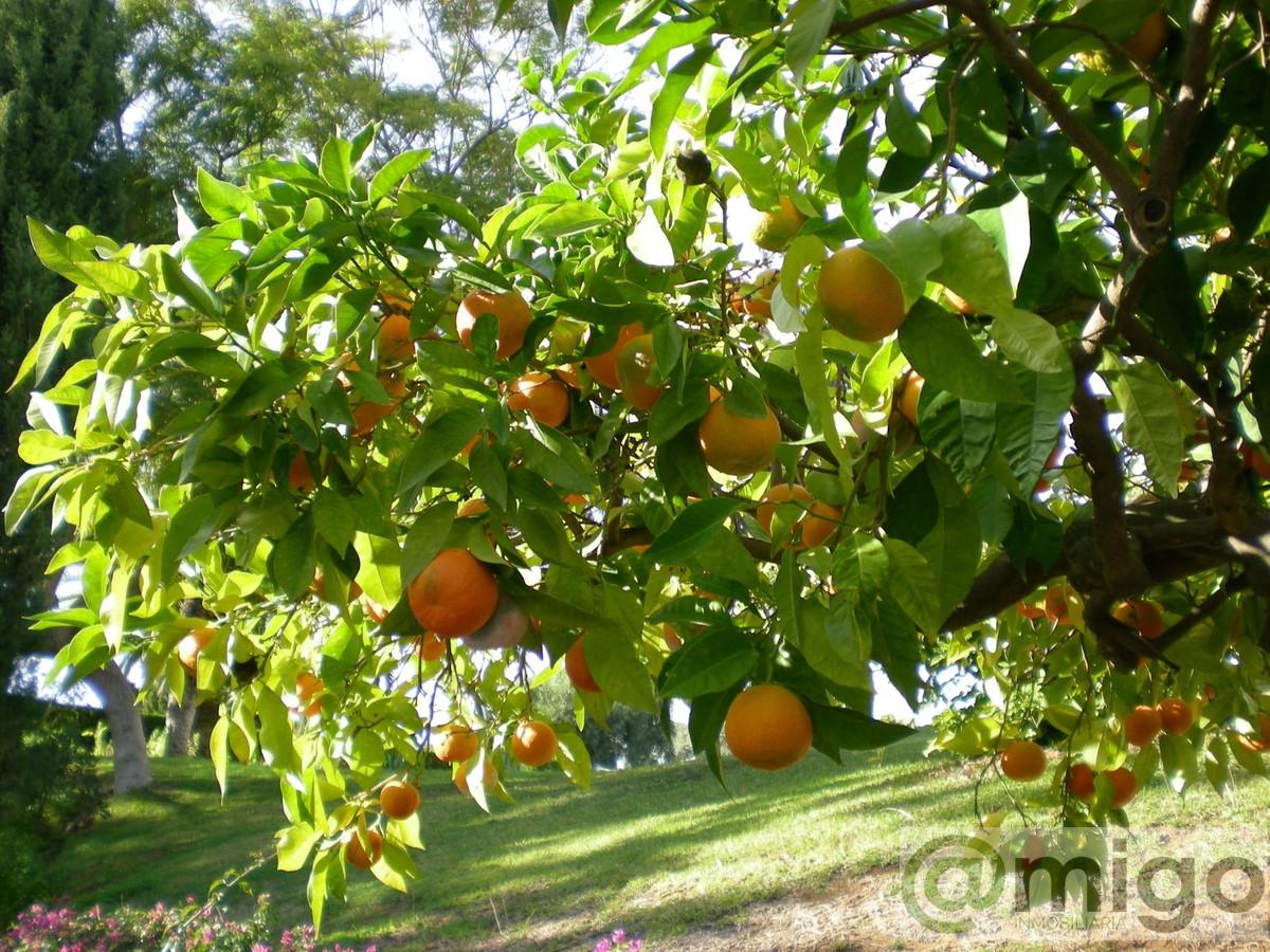 Venta de villa en Marbella