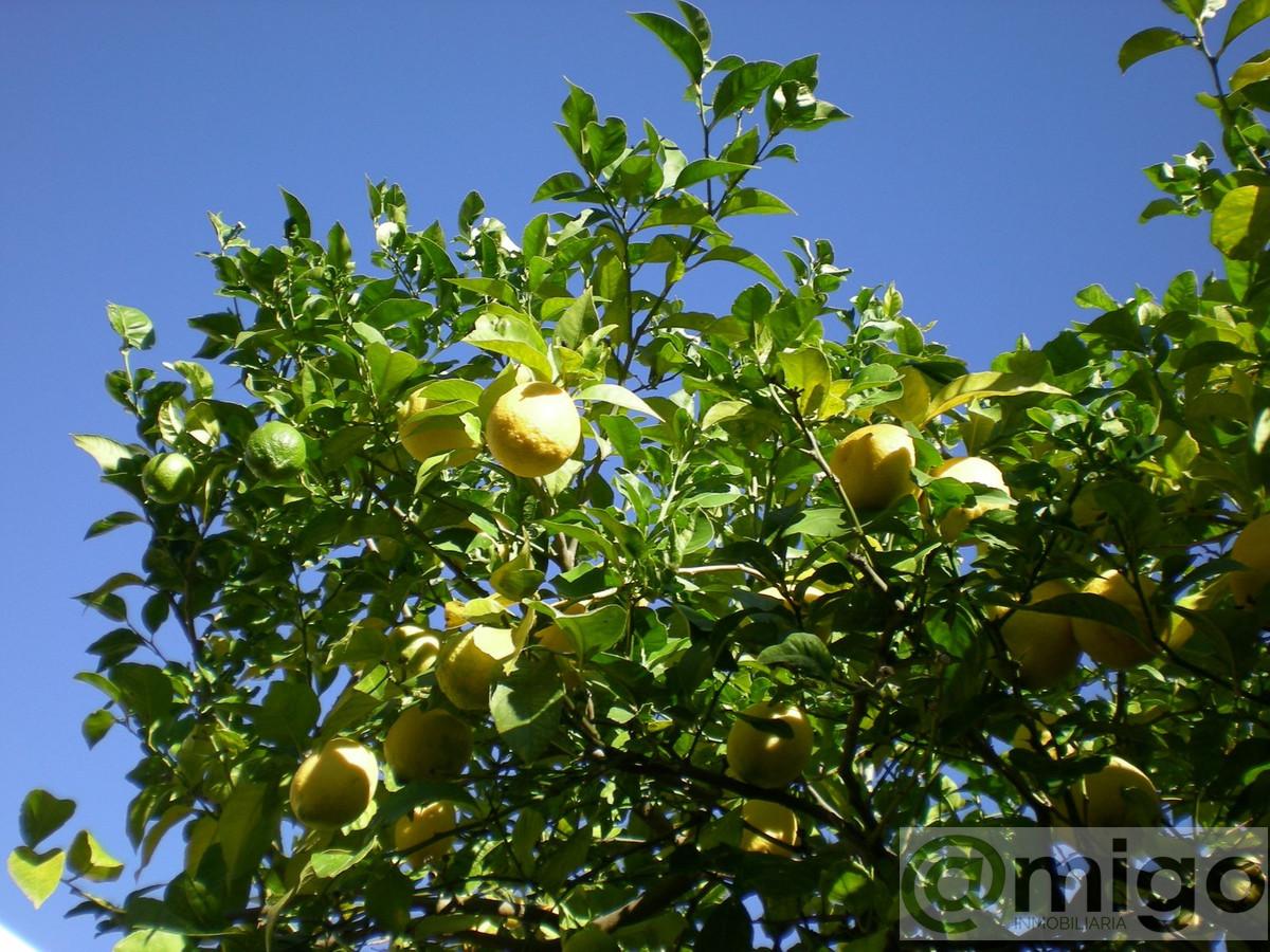 Venta de villa en Marbella