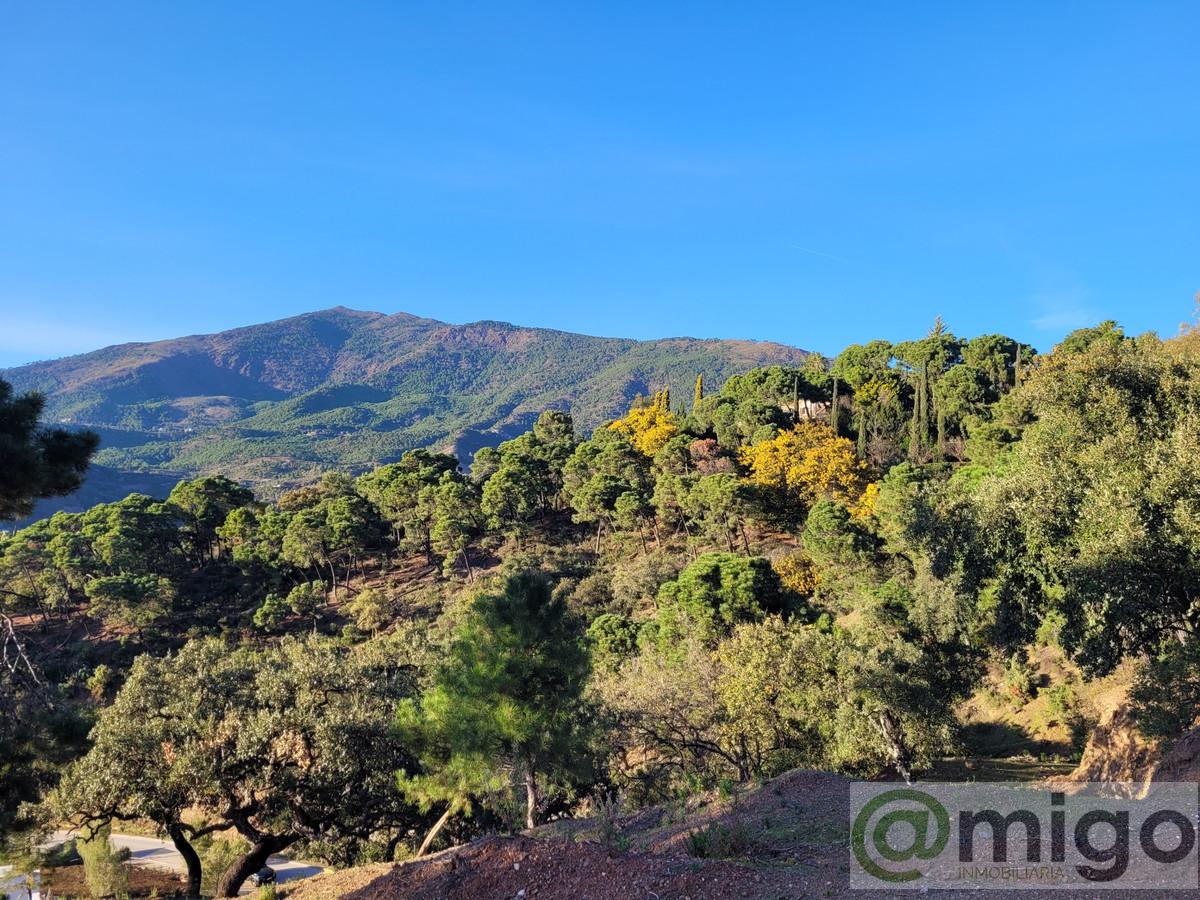 Venta de terreno en Marbella